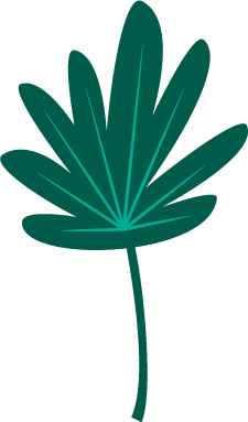 Leaf 5