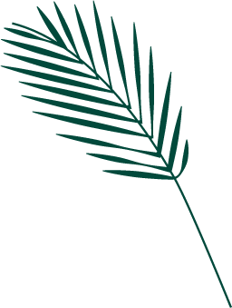 Leaf 7