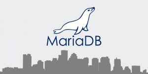 Ảnh minh họa: Thiết lập MariaDB và cấu hình
