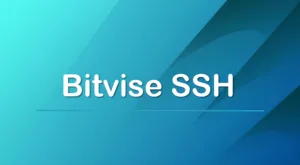 Ảnh minh họa: Quản trị máy chủ với Bitvise