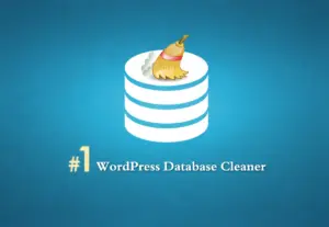 Ảnh minh họa: Dọn dẹp CSDL của WordPress với