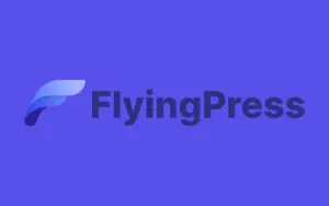 Ảnh minh họa: FlyingPress – Plugin cache hàng đầu