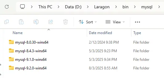 Thư mục laragon/bin/mysql chứa các phiên bản MySQL
