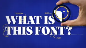 Ảnh minh họa: Tìm kiếm Phông Chữ (Font) từ
