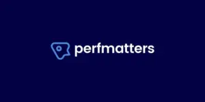 Ảnh minh họa: Perfmatters: Plugin Tối Ưu Hóa Hiệu