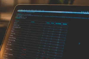 Ảnh minh họa: Dọn dẹp WordPress bằng WP-CLI –