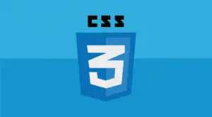 Các pseudo-class nâng cao trong CSS ít được biết đến nhưng cực kỳ hữu dụng