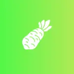 Ảnh minh họa: Wasabi Direct Uploader: Công cụ upload