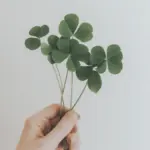 Ảnh minh họa: Giới thiệu hệ thống Lucky Wheel
