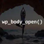 Ảnh minh họa: Hàm wp_body_open() trong WordPress: Hook nhỏ