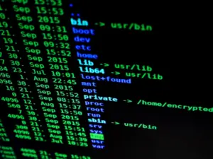 Hướng dẫn sử dụng InitOps – Tự động triển khai WordPress hiệu năng cao trên Ubuntu 24.04