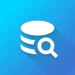 Icon Init SQLite Data Explorer